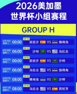 格斗回放封面